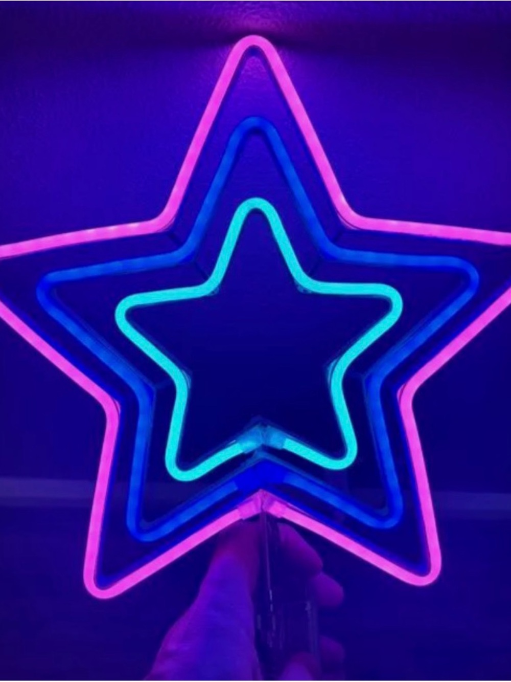 Pink and Blue Neon Star Sign